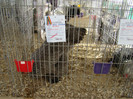 EXPO MM