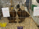 EXPO MM