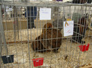EXPO MM