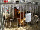 EXPO MM