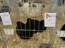 EXPO MM