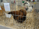 EXPO MM