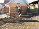 DSCN0292