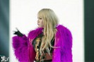 cl 2ne1 1.01.2013