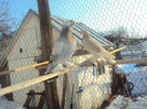 DSC01601