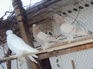 DSC01614