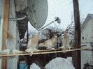 DSC01624