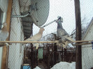 DSC01633