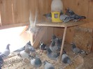DSC05309