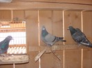 DSC05317