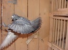 DSC05318