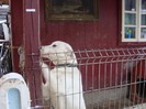 DSC05276