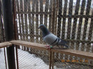 DSCN4365