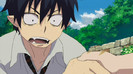 rin 53