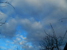 DSCN3980