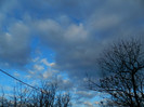 DSCN3981