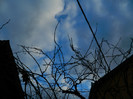 DSCN3983