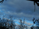 DSCN3986
