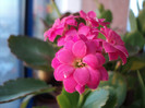 DSC04652