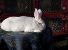 20130109_112615