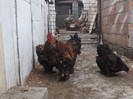 DSCF1374