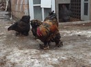 DSCF1377