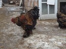 DSCF1378