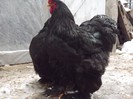 DSCF1281