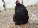 DSCF1548