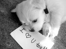 Dupa 4 zile....