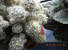 DSCN2549