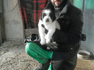 mascul 4 dat FOCSANI