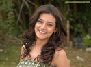 nice-Neha-Julka-wallpapers-collection-telugu
