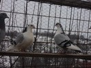 DSC07069