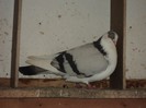 DSC07216