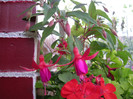 DSCN3250
