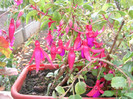 DSCN4245