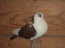DSC07281