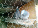 P100113_12.39_[04]