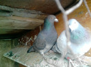 P100113_12.39_[05]