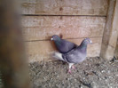 P100113_12.39_[06]