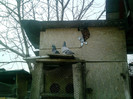 P100113_12.40_[04]