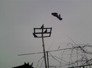 P100113_12.40_[05]