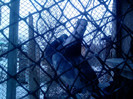 P100113_12.48