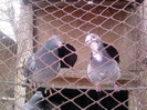 P100113_12.48_[01]