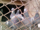 P100113_12.48_[02]