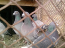 P100113_12.48_[03]