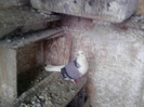 P100113_12.49_[01]