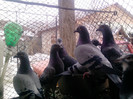 P100113_12.49_[03]
