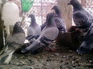 P100113_12.49_[07]